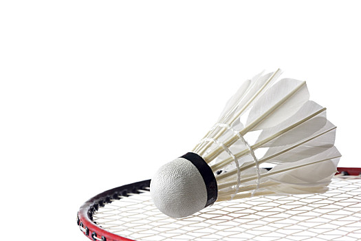 领先并不意 领先并不意