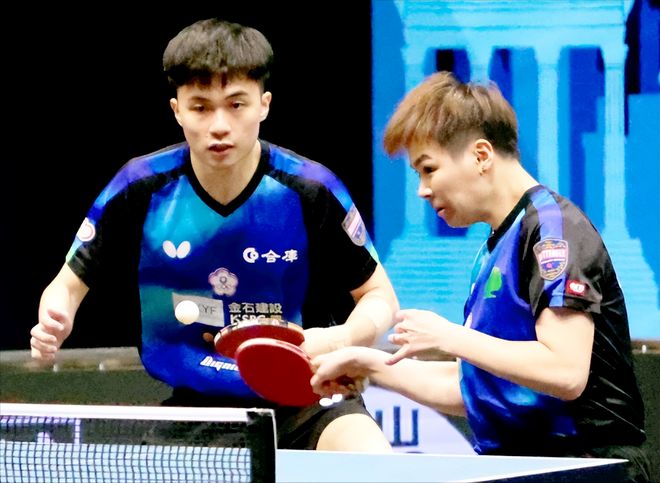 域名族群 域名族群